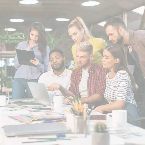 xero and quickbooks packages